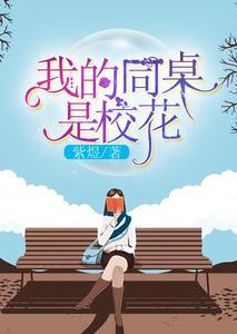 我的同桌校花陈冰