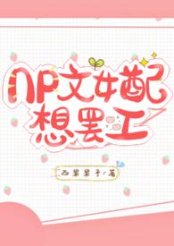 np文女配想离婚无防盗