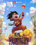 龙珠之完美进化笔趣阁