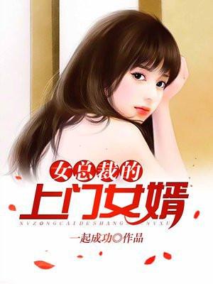 女总裁的上门女婿好看吗