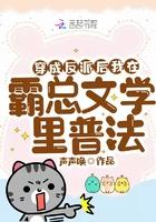 穿成霸总反派的aplan